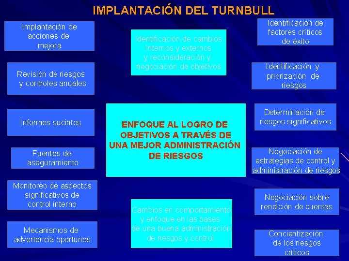 IMPLANTACIÓN DEL TURNBULL Implantación de acciones de mejora Revisión de riesgos y controles anuales