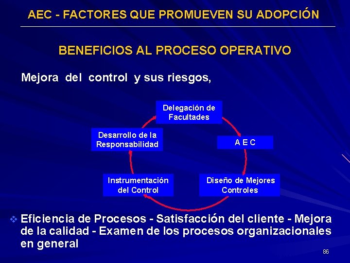 AEC - FACTORES QUE PROMUEVEN SU ADOPCIÓN 2/2 BENEFICIOS AL PROCESO OPERATIVO Mejora del