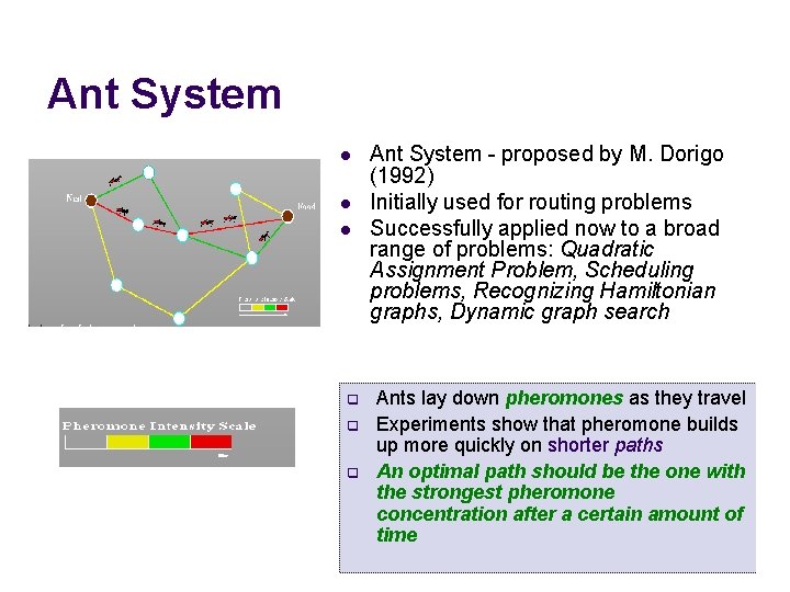Ant System l l l q q q Ant System - proposed by M.