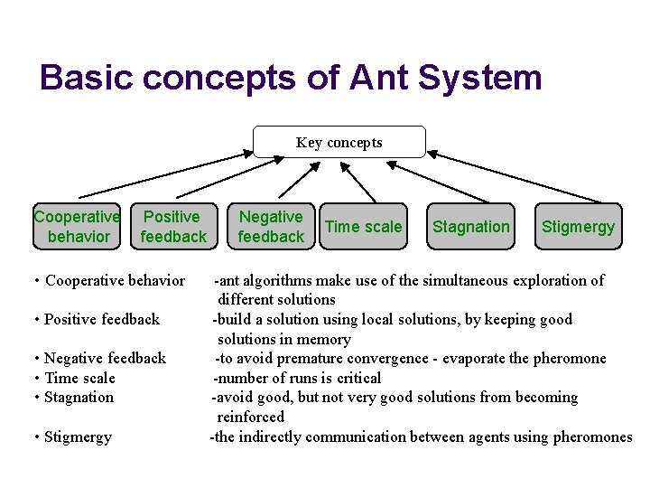 Basic concepts of Ant System Key concepts Cooperative behavior Positive feedback • Cooperative behavior