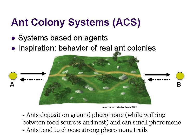 Ant Colony Systems (ACS) l l Systems based on agents Inspiration: behavior of real