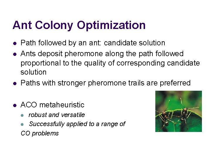 Ant Colony Optimization l Path followed by an ant: candidate solution Ants deposit pheromone