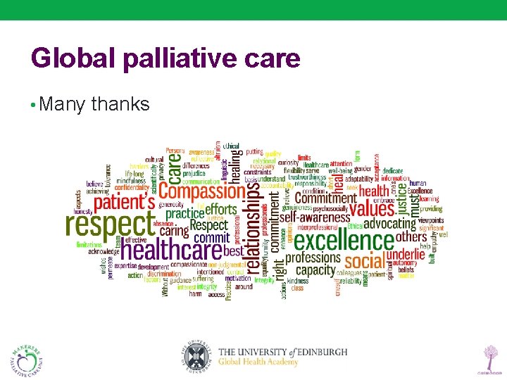 Global palliative care • Many thanks 