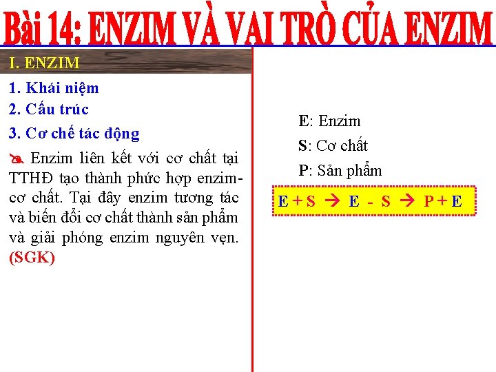 I. ENZIM 1. Khái niệm 2. Cấu trúc 3. Cơ chế tác động Enzim