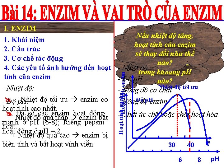 I. ENZIM Hoạt tình enzim Hoạt tính của Nêu yếuđộ tốtăng, ảnh Nếucác nhiệt