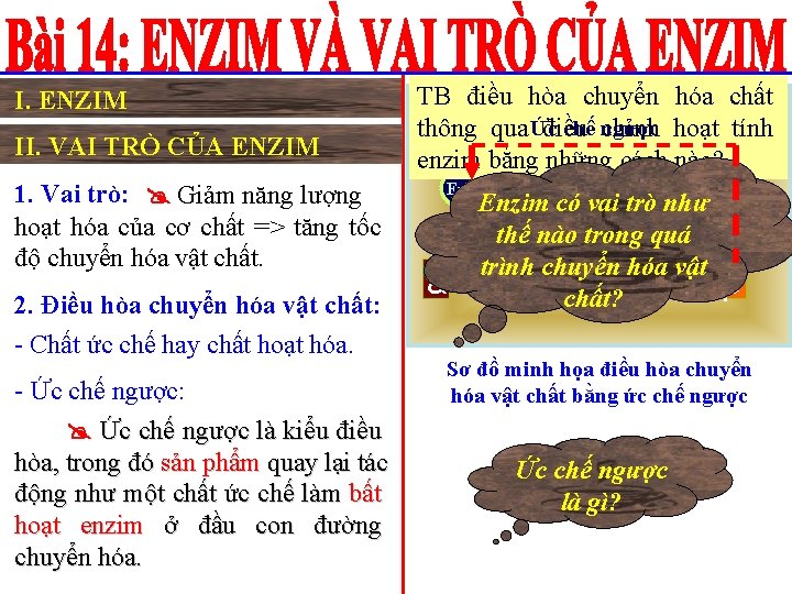 I. ENZIM II. VAI TRÒ CỦA ENZIM 1. Vai trò: Giảm năng lượng hoạt