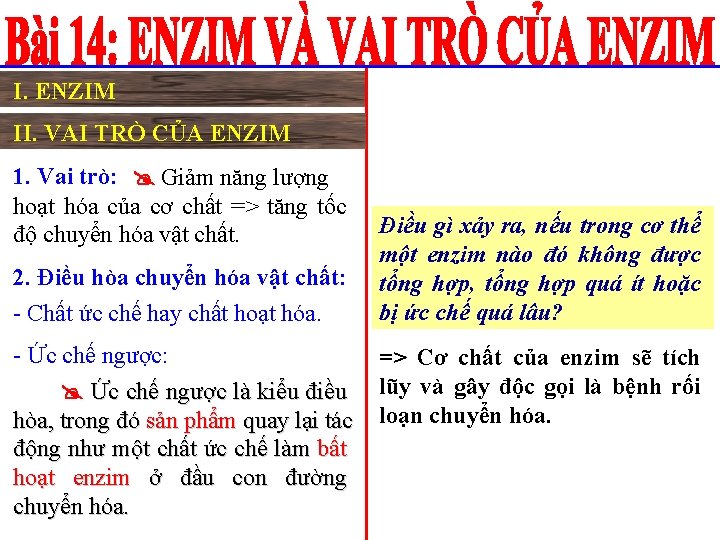 I. ENZIM II. VAI TRÒ CỦA ENZIM 1. Vai trò: Giảm năng lượng hoạt