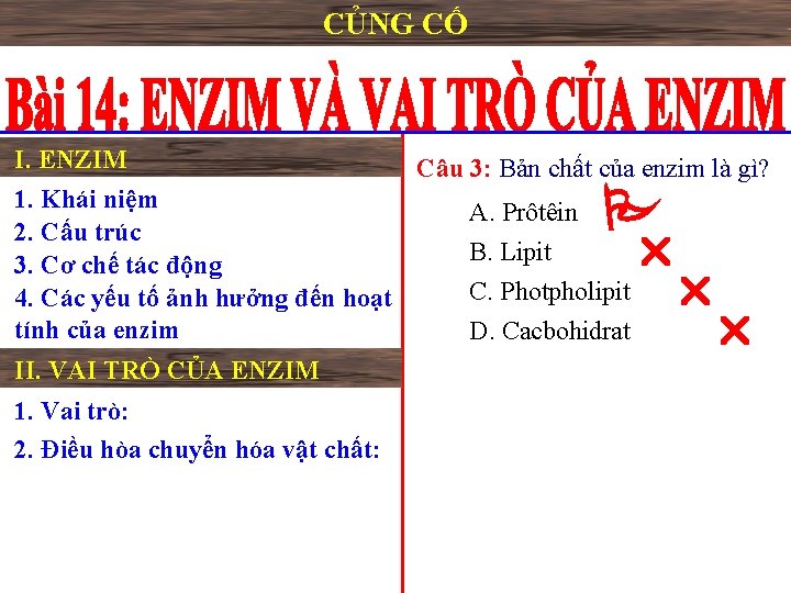 CỦNG CỐ I. ENZIM 1. Khái niệm 2. Cấu trúc 3. Cơ chế tác