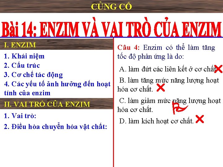 CỦNG CỐ I. ENZIM Câu 4: Enzim có thể làm tăng tốc độ phản