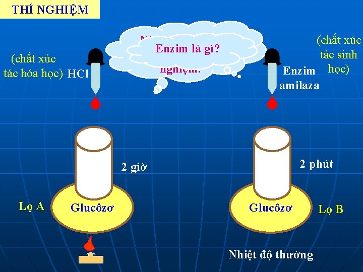 THÍ NGHIỆM Nhận xét tốc độ Enzim là gì? phản ứng ở 2 lọ