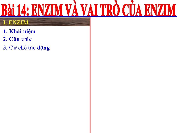 I. ENZIM 1. Khái niệm 2. Cấu trúc 3. Cơ chế tác động 