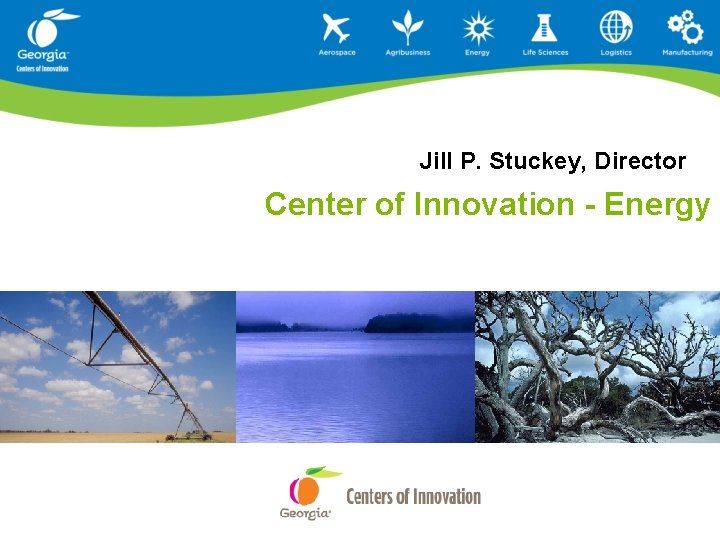 Jill P. Stuckey, Director Center of Innovation - Energy 