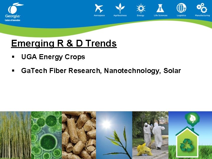 Emerging R & D Trends § UGA Energy Crops § Ga. Tech Fiber Research,