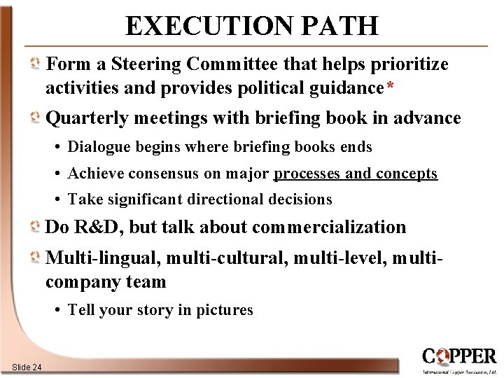 EXECUTION PATH Form a Steering Committee that helps prioritize activities and provides political guidance*