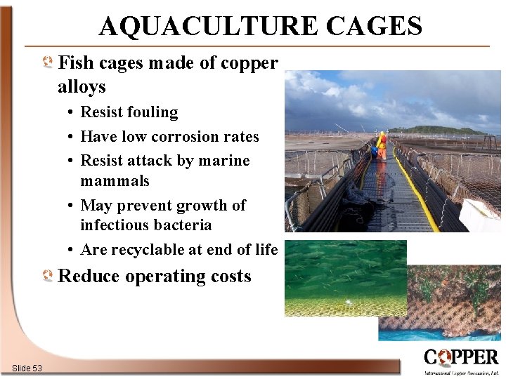 AQUACULTURE CAGES Fish cages made of copper alloys • Resist fouling • Have low