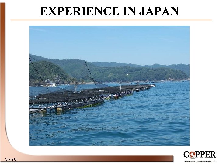 EXPERIENCE IN JAPAN Slide 61 