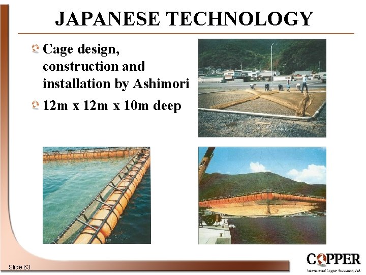 JAPANESE TECHNOLOGY Cage design, construction and installation by Ashimori 12 m x 10 m