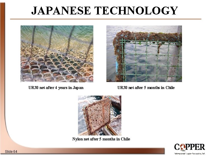 JAPANESE TECHNOLOGY UR 30 net after 4 years in Japan UR 30 net after