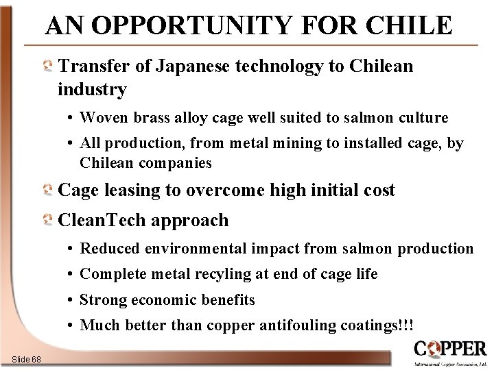 AN OPPORTUNITY FOR CHILE Transfer of Japanese technology to Chilean industry • Woven brass