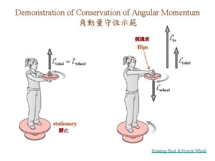 Demonstration of Conservation of Angular Momentum 角動量守恆示範 倒過來 靜止 Rotating Stool & Bicycle Wheel