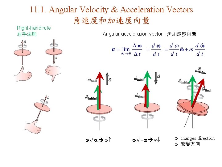 11. 1. Angular Velocity & Acceleration Vectors 角速度和加速度向量 Right-hand rule 右手法則 Angular acceleration vector