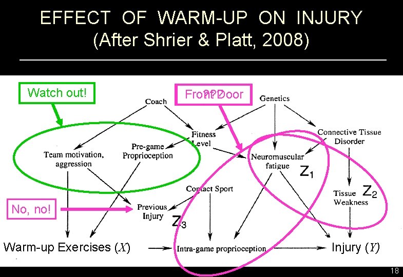 EFFECT OF WARM-UP ON INJURY (After Shrier & Platt, 2008) Watch out! ? ?