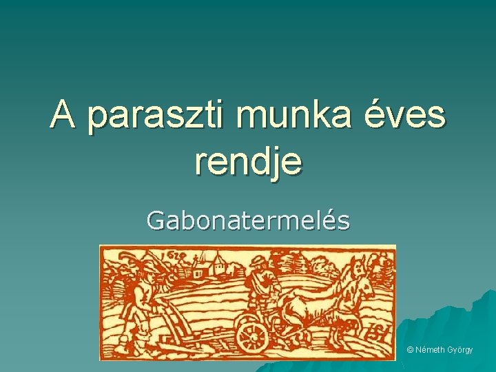 A paraszti munka éves rendje Gabonatermelés © Németh György 