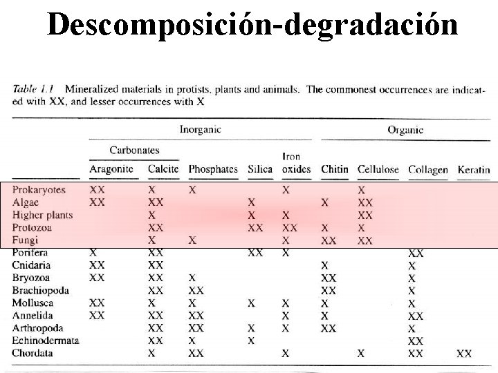 Descomposición-degradación 