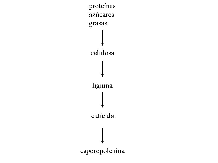 proteínas azúcares grasas celulosa lignina cutícula esporopolenina 