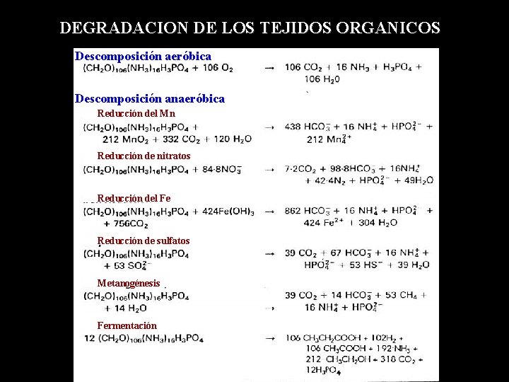 DEGRADACION DE LOS TEJIDOS ORGANICOS Descomposición aeróbica Descomposición anaeróbica Reducción del Mn Reducción de