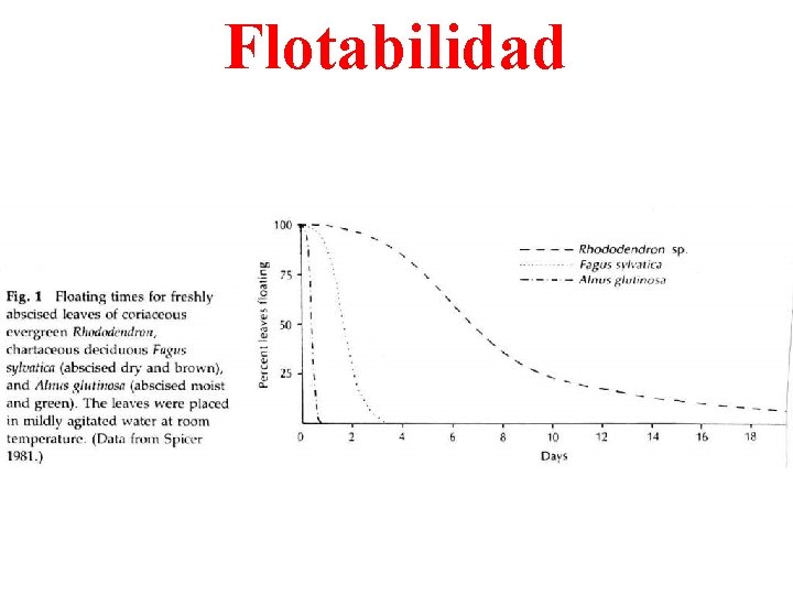 Flotabilidad 