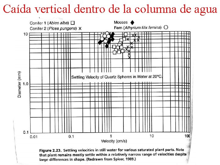 Caída vertical dentro de la columna de agua 