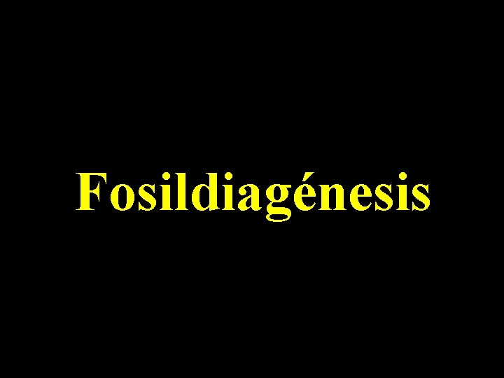 Fosildiagénesis 