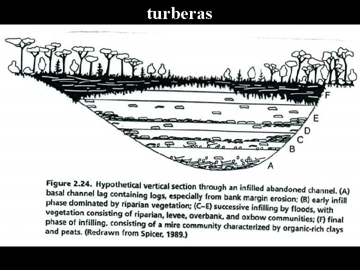 turberas 