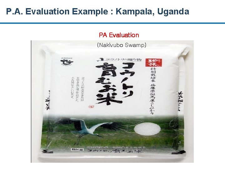 P. A. Evaluation Example : Kampala, Uganda PA Evaluation (Nakivubo Swamp) 