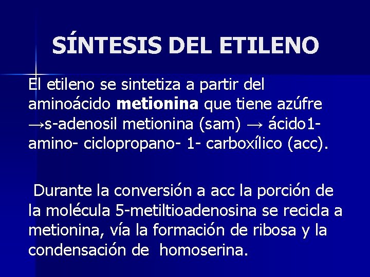 SÍNTESIS DEL ETILENO El etileno se sintetiza a partir del aminoácido metionina que tiene