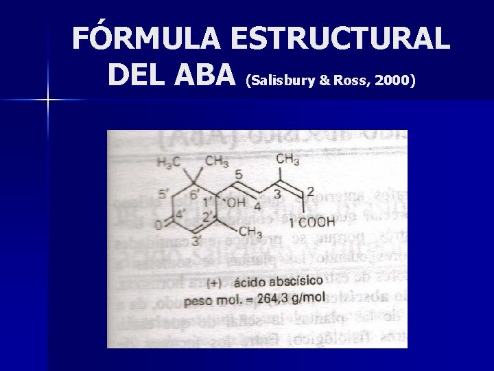 FÓRMULA ESTRUCTURAL DEL ABA (Salisbury & Ross, 2000) 