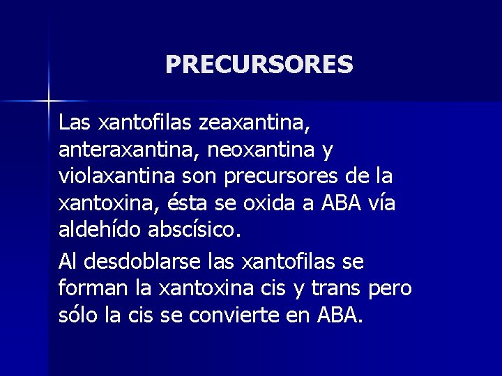 PRECURSORES Las xantofilas zeaxantina, anteraxantina, neoxantina y violaxantina son precursores de la xantoxina, ésta