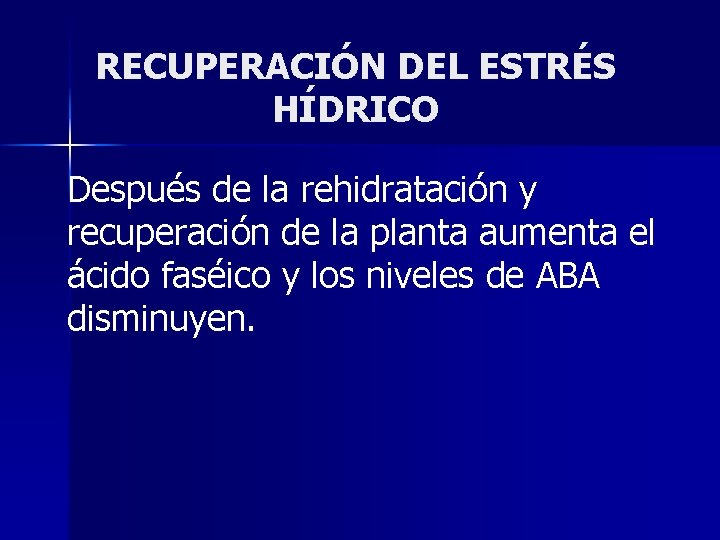 RECUPERACIÓN DEL ESTRÉS HÍDRICO Después de la rehidratación y recuperación de la planta aumenta