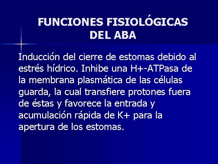 FUNCIONES FISIOLÓGICAS DEL ABA Inducción del cierre de estomas debido al estrés hídrico. Inhibe