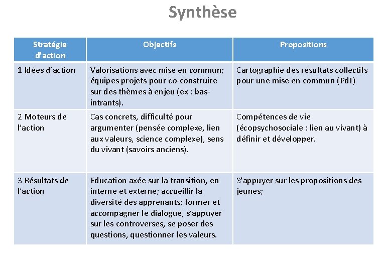  Synthèse Stratégie d’action Objectifs Propositions 1 Idées d’action Valorisations avec mise en commun;