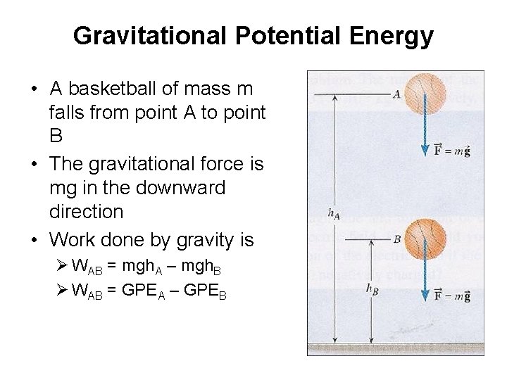 Gravitational Potential Energy • A basketball of mass m falls from point A to