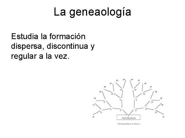 La geneaología Estudia la formación dispersa, discontinua y regular a la vez. 