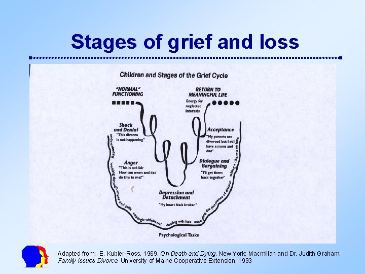 Stages of grief and loss Adapted from: E. Kubler-Ross. 1969. On Death and Dying.