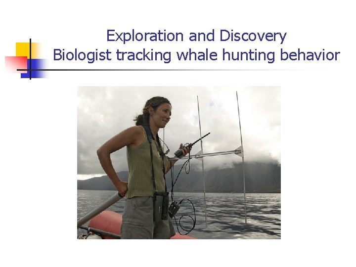 Exploration and Discovery Biologist tracking whale hunting behavior n 