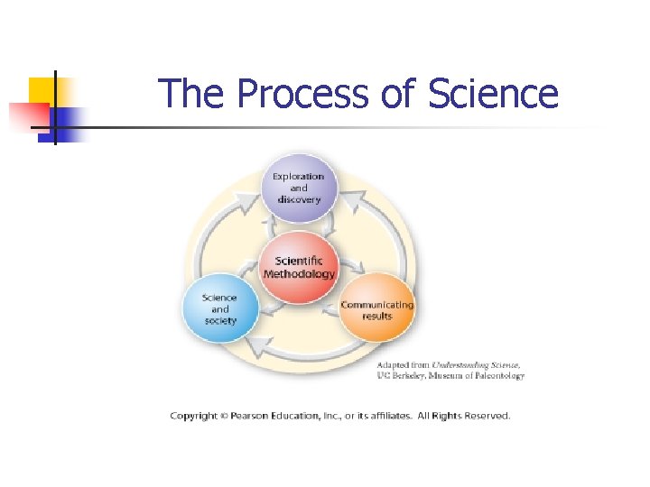 The Process of Science 