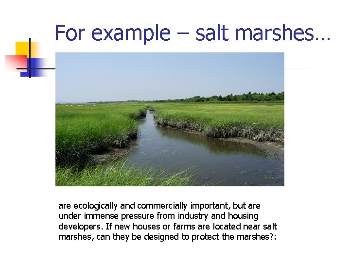 For example – salt marshes… are ecologically and commercially important, but are under immense