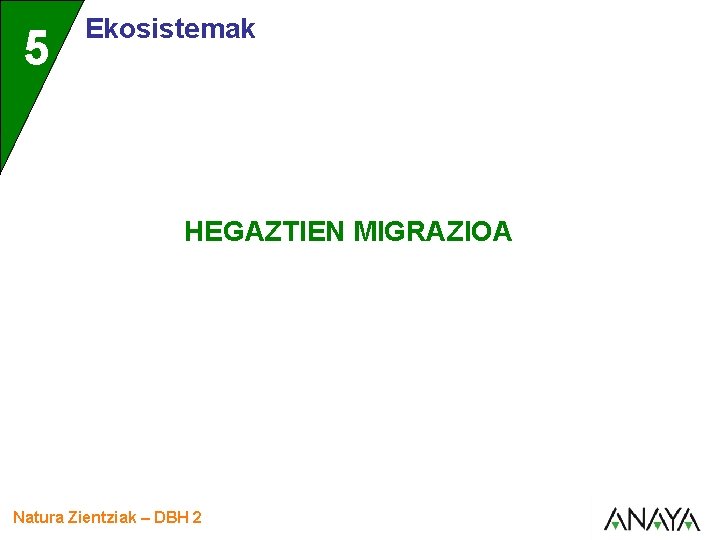 5 Ekosistemak HEGAZTIEN MIGRAZIOA Natura Zientziak – DBH 2 