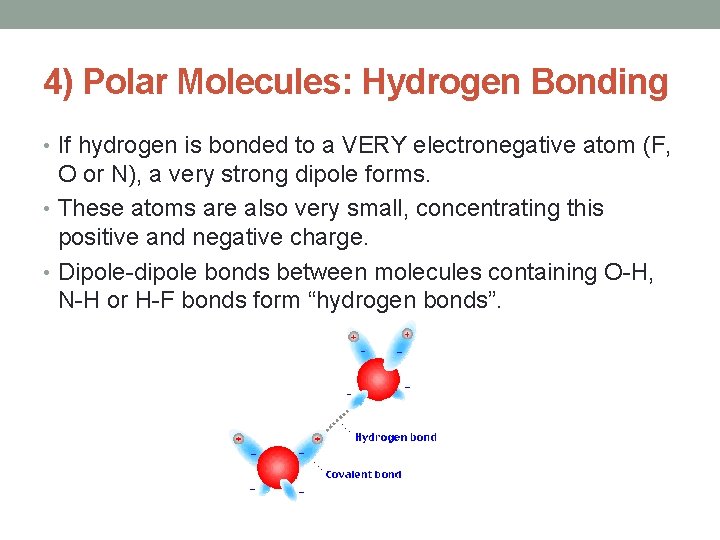 4) Polar Molecules: Hydrogen Bonding • If hydrogen is bonded to a VERY electronegative