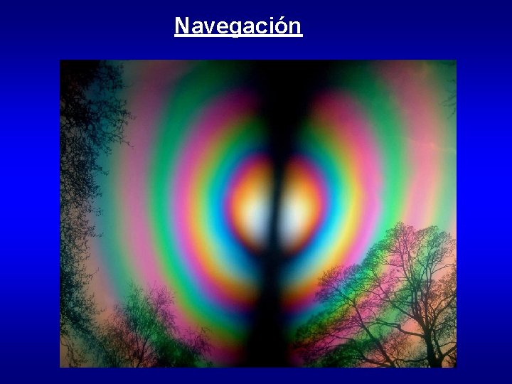 Navegación 